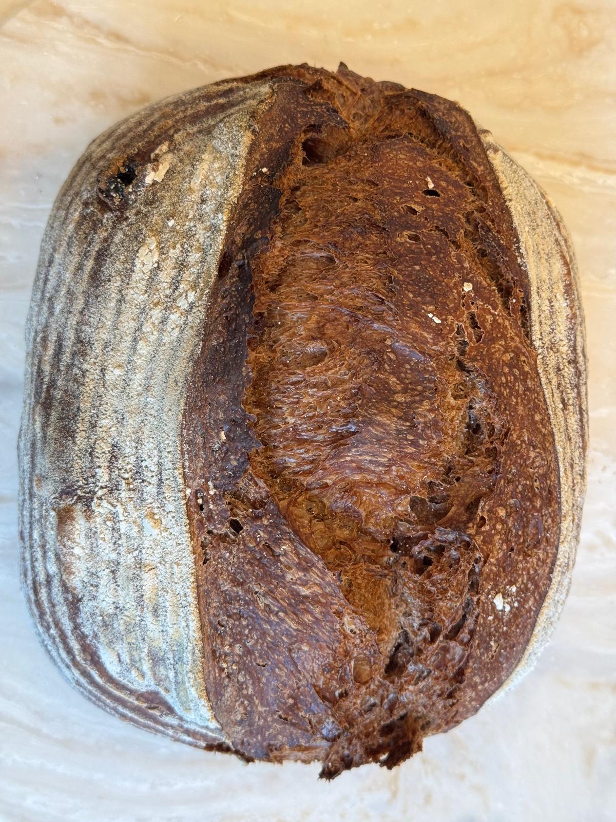 Dark Chocolate  & Sour Cherry